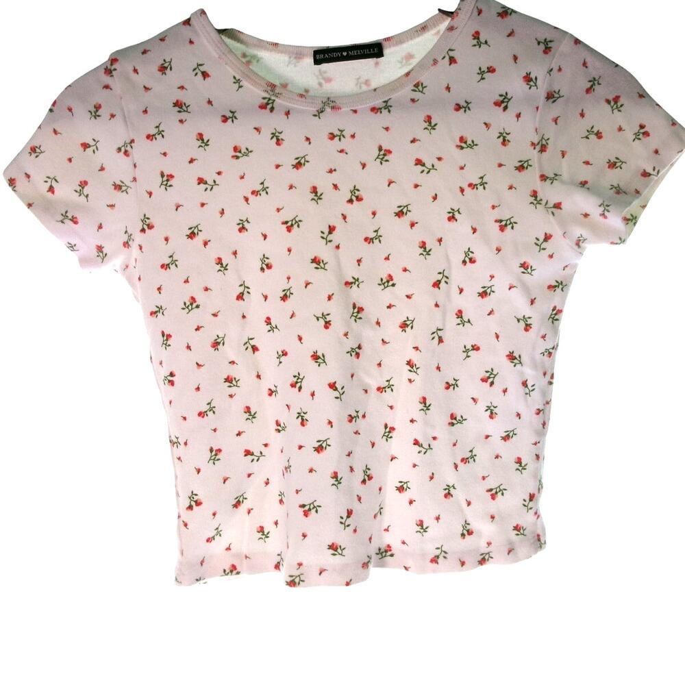 Brandy Melville Floral Baby Tee White Pink Rose Short Sleeve One Size